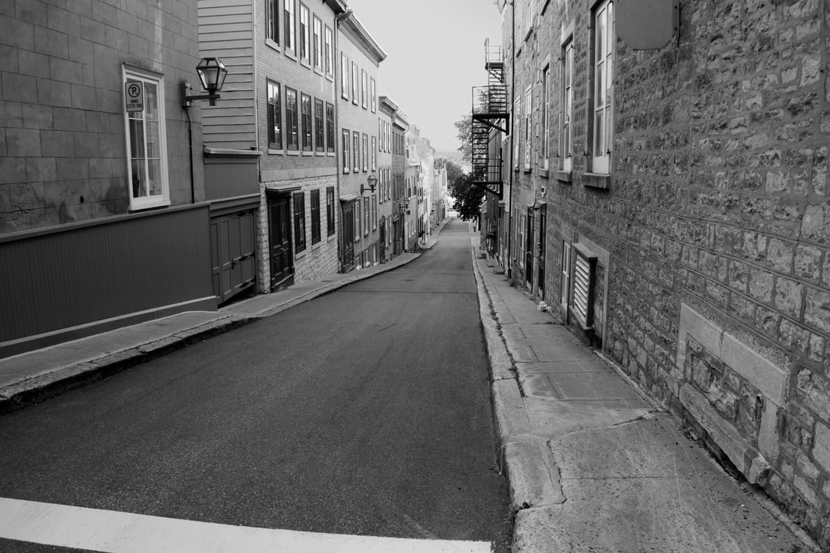 Gallery Image 54