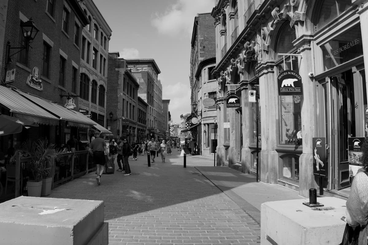 Gallery Image 55